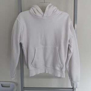 Aritzia Cozy Sweatfleece Perfect Hoodie
